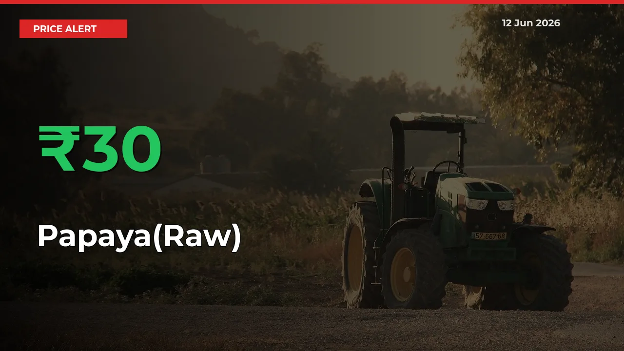 Sharp Jump! Papaya(Raw) Prices Climb 29.92% in 24 Hours at Key Mandis