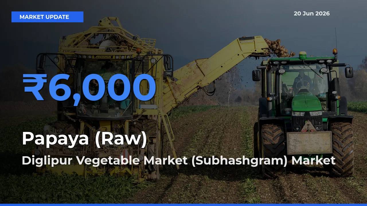 Diglipur Vegetable Market (Subhashgram) Tops Papaya (Raw) Rates – June 20 Market Update