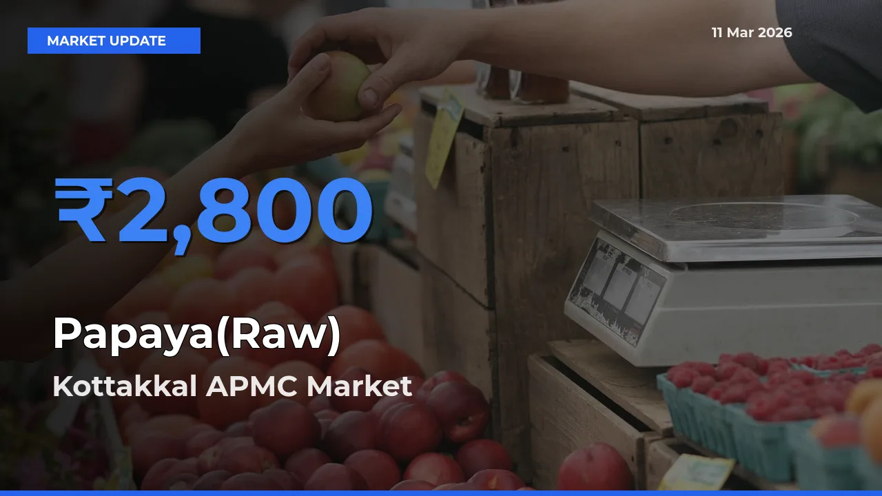 Kottakkal APMC Leads as Top Mandi for Papaya(Raw) Prices
