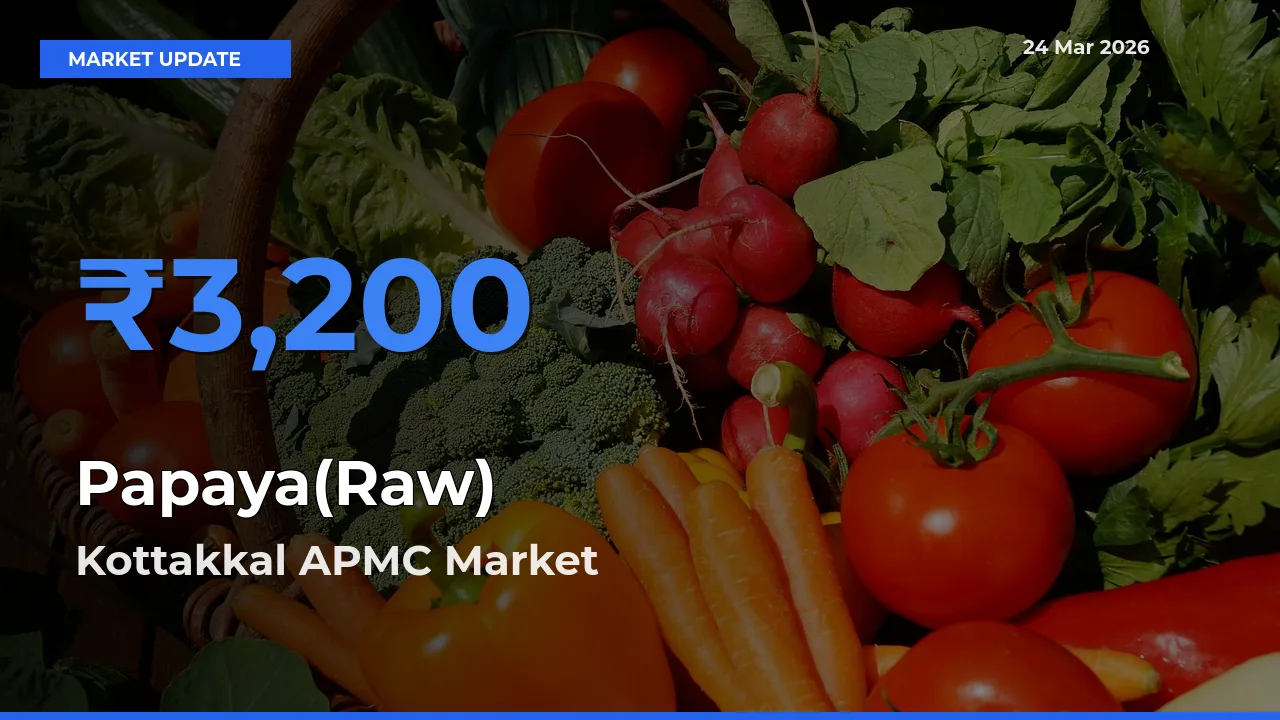 Farmers Prefer Kottakkal APMC as Papaya(Raw) Hits Highest Rate