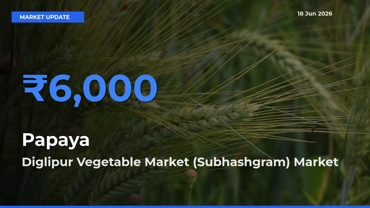 Papaya Mandi Rate Today: Diglipur Vegetable Market (Subhashgram) Tops the List