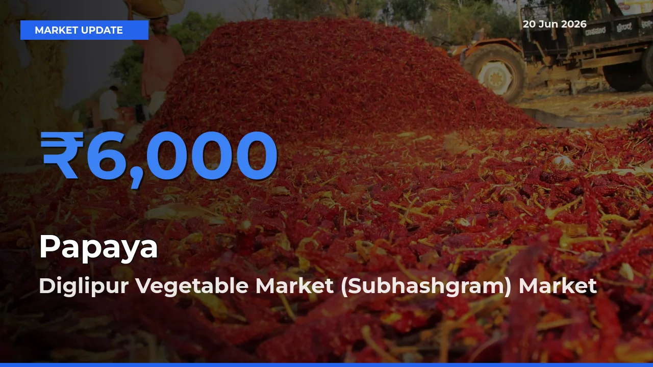 Diglipur Vegetable Market (Subhashgram) Tops Papaya Mandi Rates Today