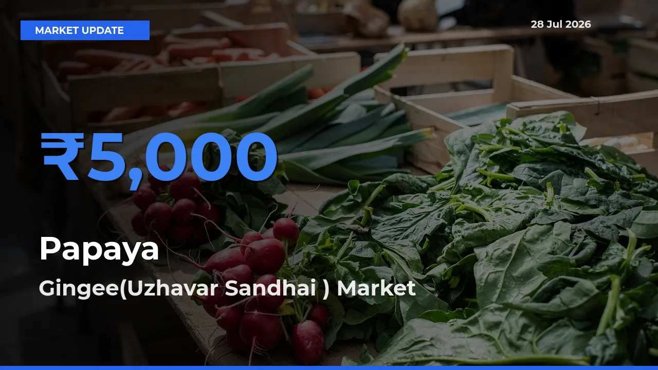 Gingee(Uzhavar Sandhai ), Villupuram, Tamil Nadu Records Highest ₹5,000 Rate for Papaya