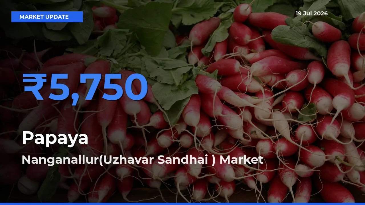 Nanganallur(Uzhavar Sandhai ) Tops Papaya Mandi Rates Today