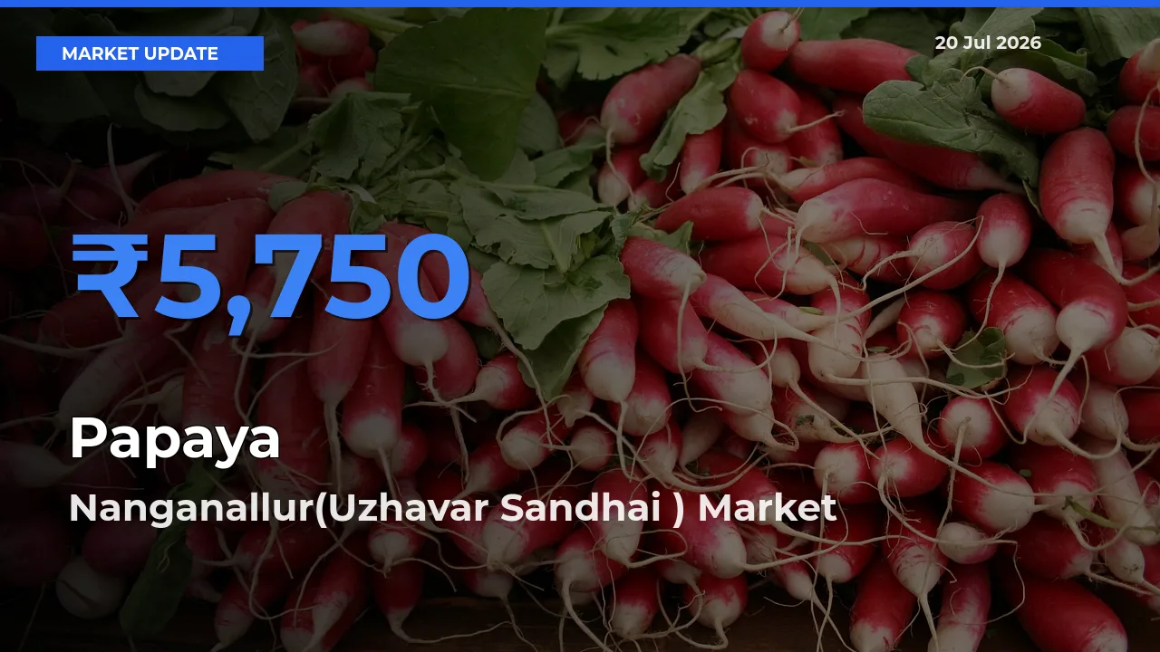 Nanganallur(Uzhavar Sandhai ) Leads as Top Mandi for Papaya Prices