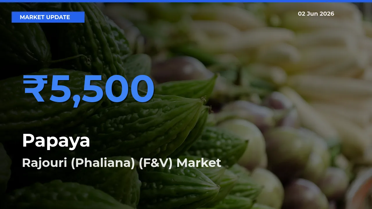 Rajouri (Phaliana) (F&V) Emerges as Top Mandi for Papaya Prices Today
