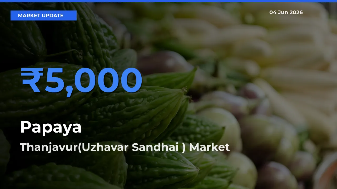 Top Performer! Thanjavur(Uzhavar Sandhai ) Offers Best Papaya Price Today