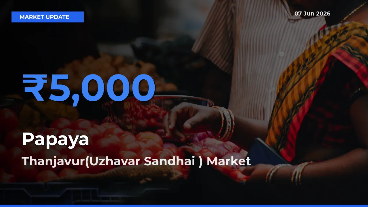 Market Watch: Thanjavur(Uzhavar Sandhai ) Becomes Top Mandi for Papaya