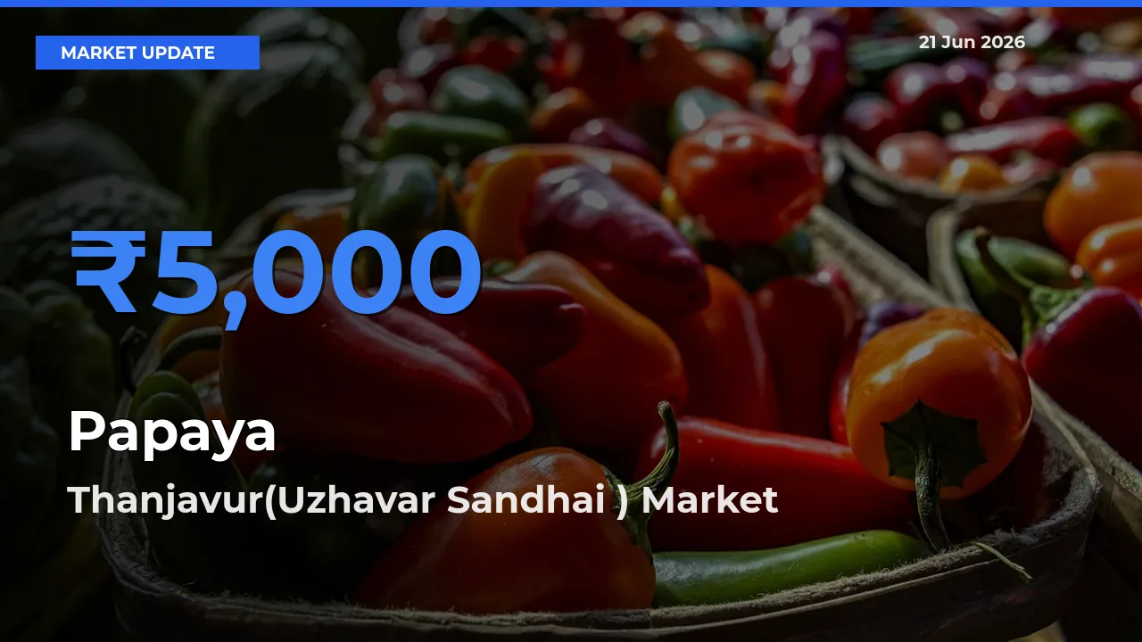 Thanjavur(Uzhavar Sandhai ) Tops Papaya Rates – June 21 Market Update