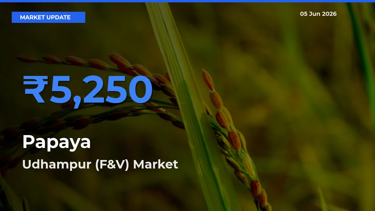 Udhampur (F&V) Tops Papaya Mandi Rates Today