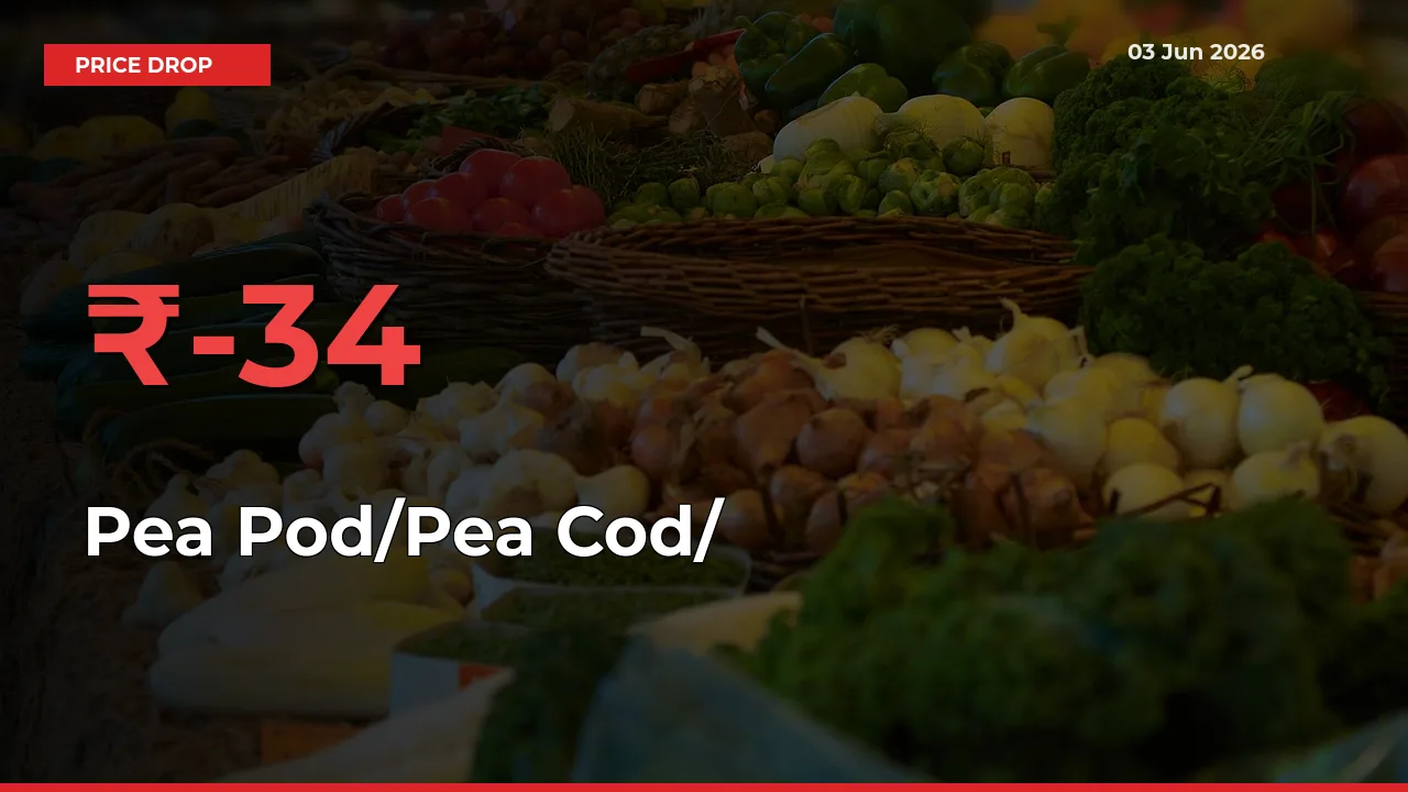 Pea Pod/Pea Cod/हरी मटर Mandi Rate Today: Prices Fall 34.06% at Market