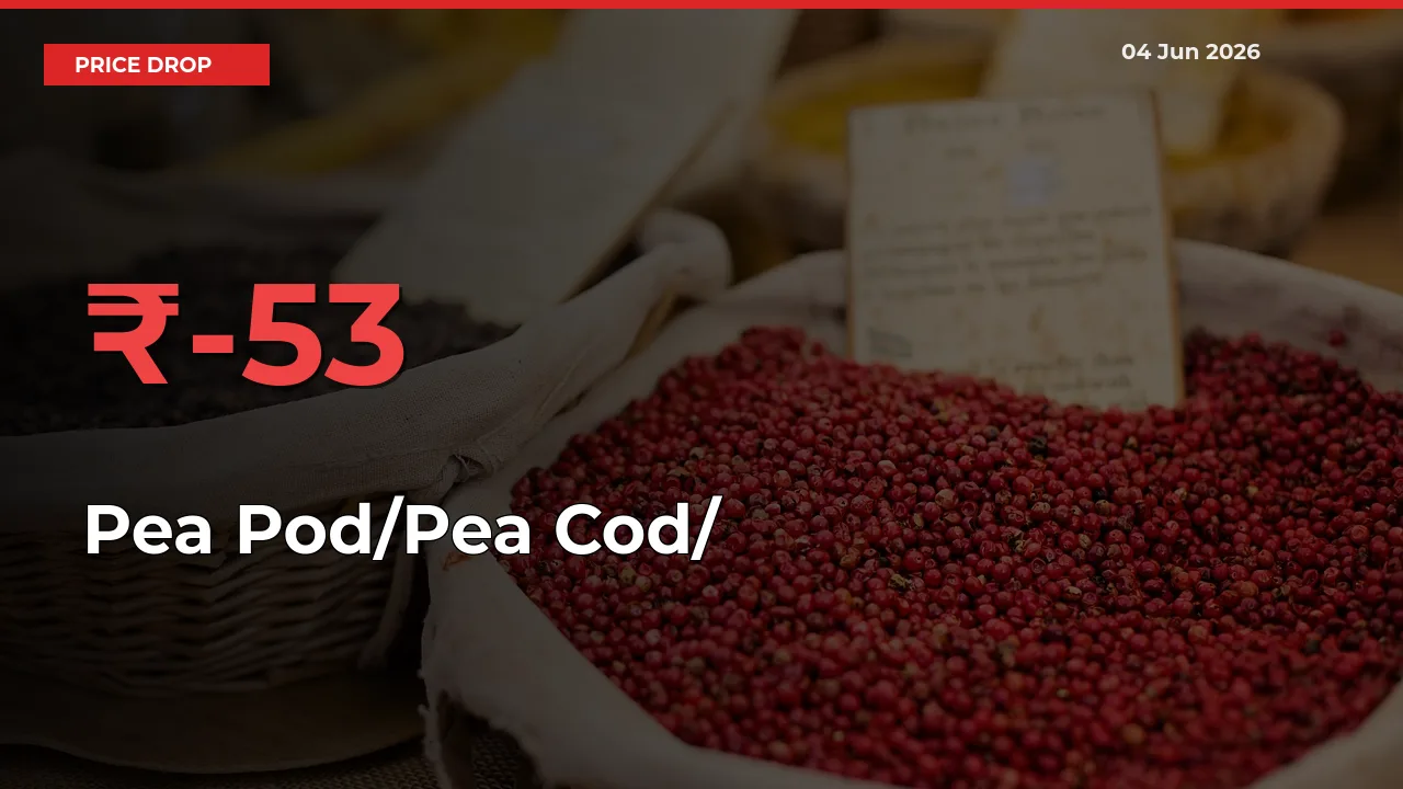 Pea Pod/Pea Cod/हरी मटर Prices Drop 52.97% – June 04 Market Update from Mandis