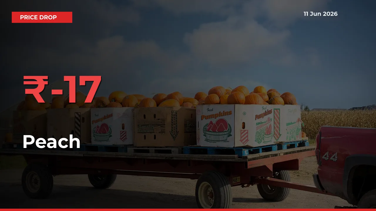 Sudden Shock! Peach Drops 16.89% in 24 Hours at Top Mandis