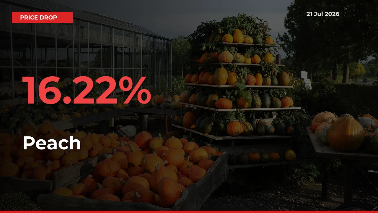 16.22% Drop in Peach Prices – Mandi Sees Sudden Fall