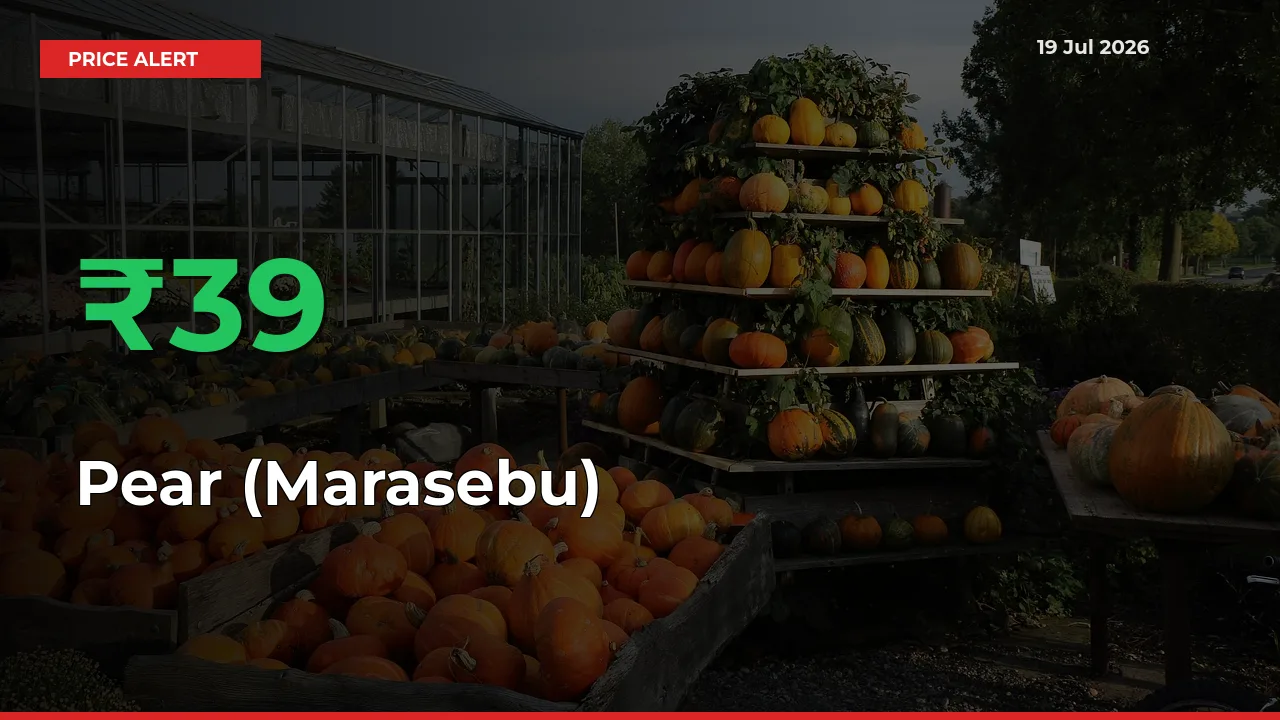 Farmers Cheer as Pear (Marasebu) Prices Surge 38.68% in Local Mandis