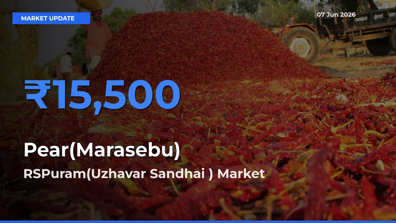 RSPuram(Uzhavar Sandhai ) Tops Pear(Marasebu) Rates – June 07 Market Update