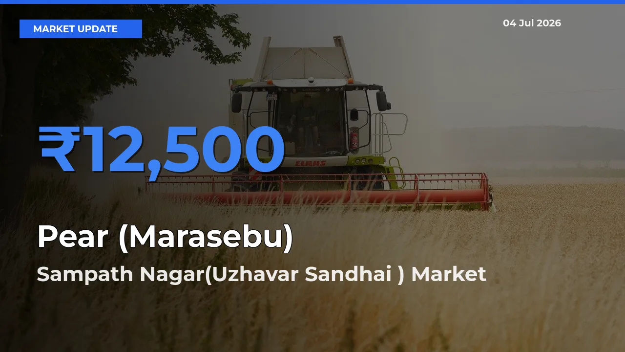Sampath Nagar(Uzhavar Sandhai ) Tops Pear (Marasebu) Rates – July 04 Market Update