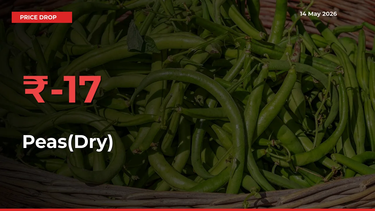 Sharp Fall! Peas(Dry) Prices Plunge 17.05% in a Day at Key Mandis