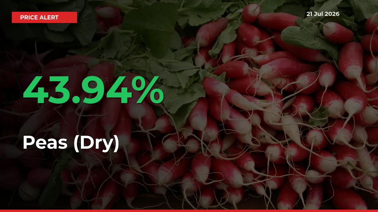 43.94% Spike in Peas (Dry) Prices – Mandi Sees Sudden Rally