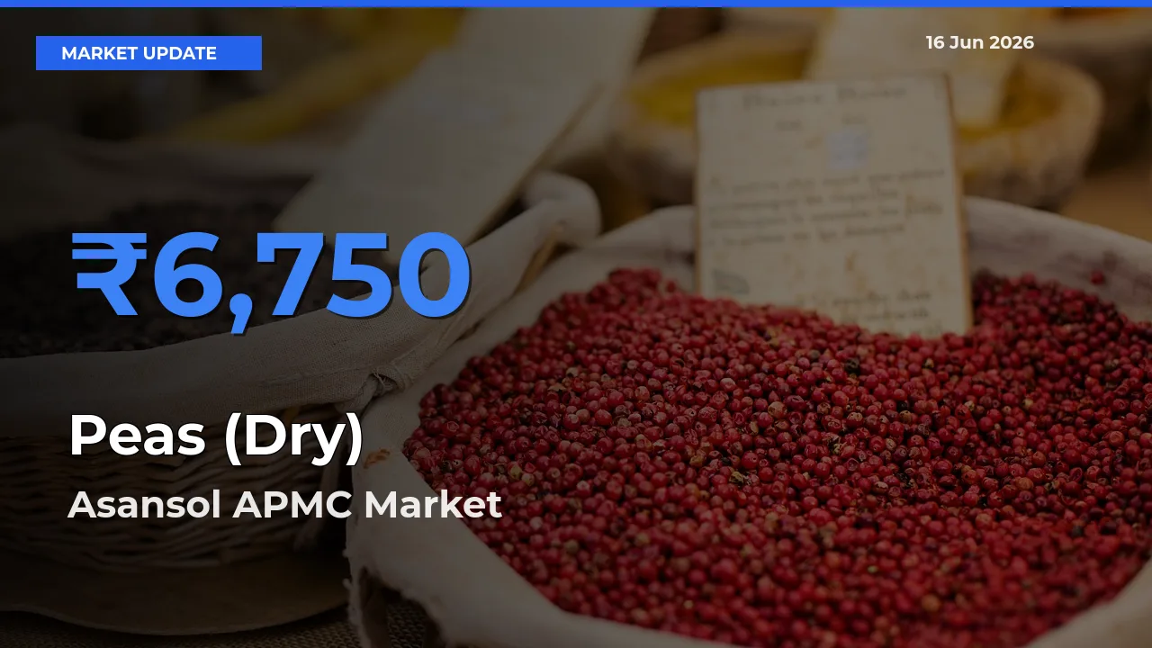 Peas (Dry) Mandi Rate Today: Asansol APMC Tops the List
