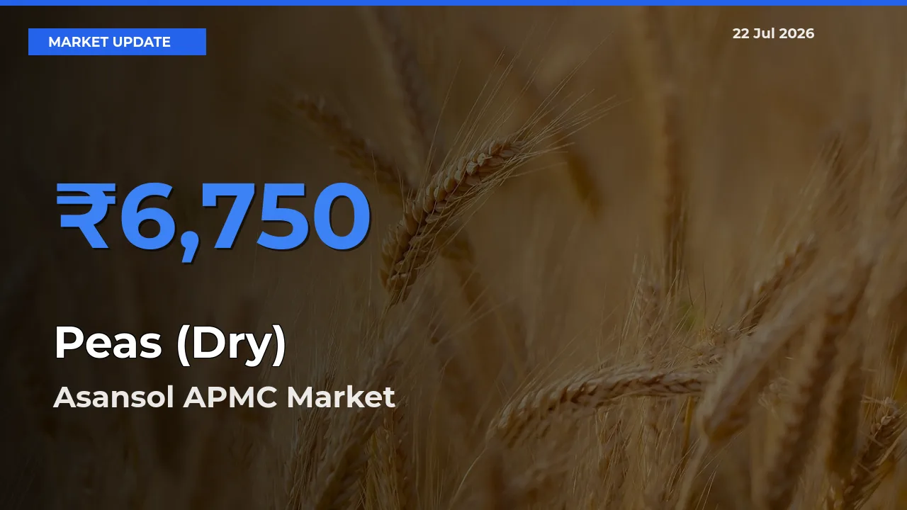 Asansol APMC Tops Peas (Dry) Mandi Rates Today