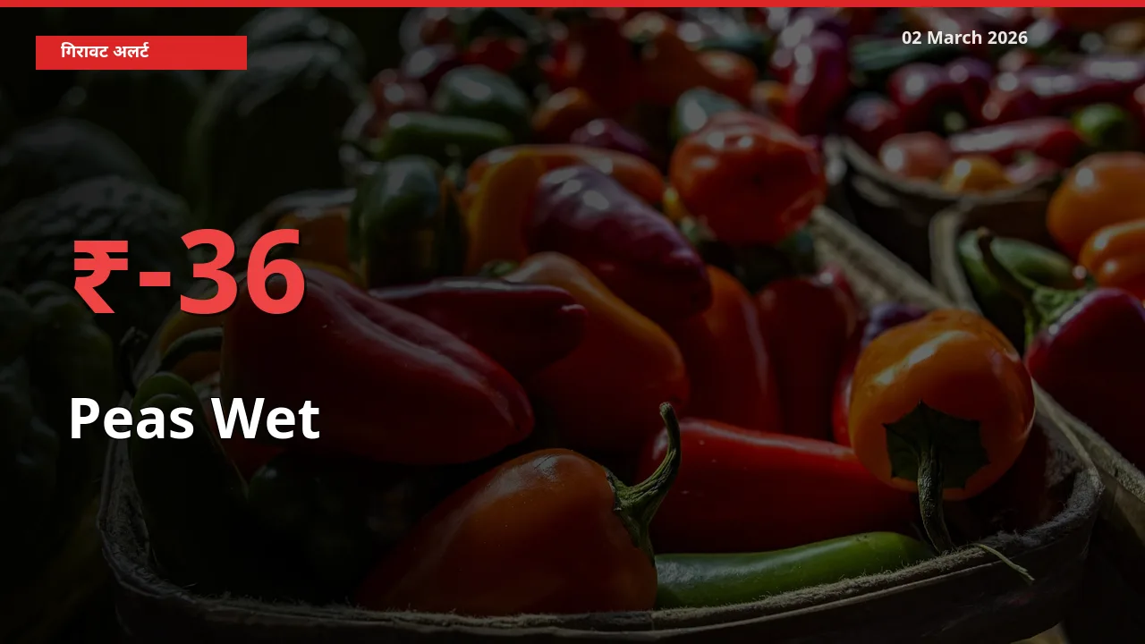Peas Wet 36.32% गिरा, मंडी