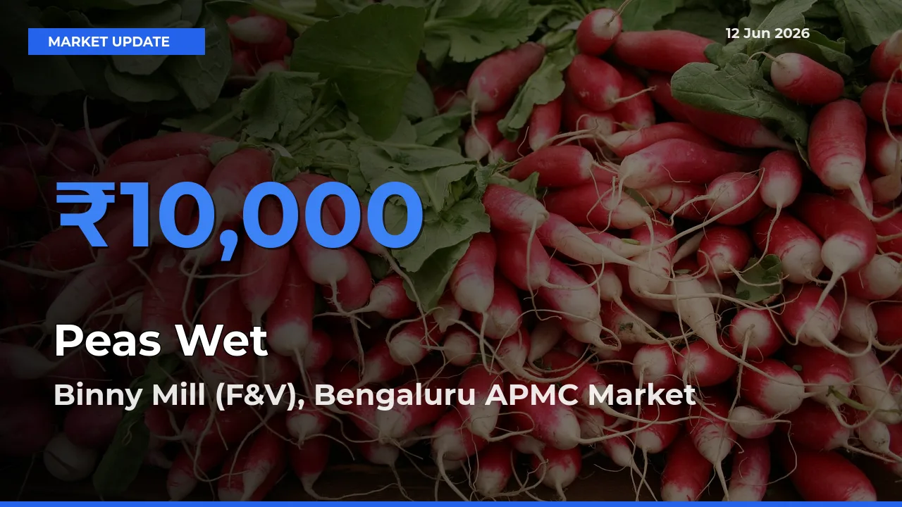 Farmers Prefer Binny Mill (F&V), Bengaluru APMC as Peas Wet Hits Highest Rate