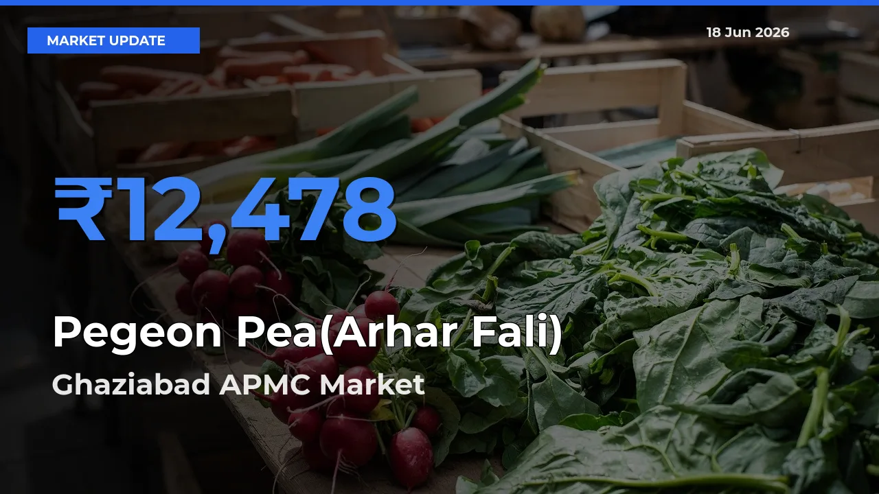 Ghaziabad APMC Emerges as Top Mandi for Pegeon Pea(Arhar Fali) Prices Today