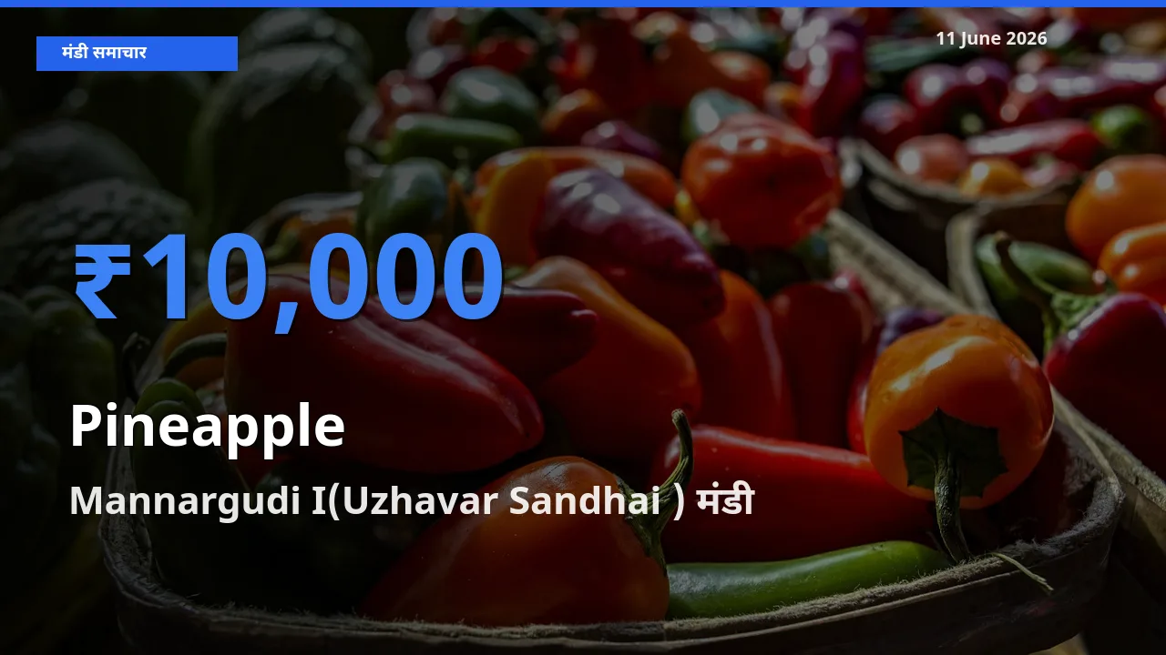 आज अनानास के सबसे ज़्यादा दाम Mannargudi I(Uzhavar Sandhai ) मंडी में दर्ज