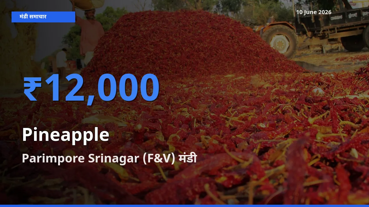 Parimpore Srinagar (F&V) मंडी में आज अनानास के सबसे ऊँचे दाम दर्ज
