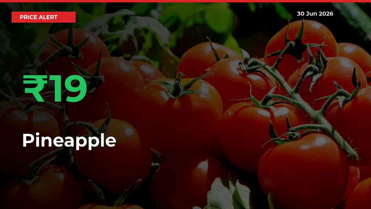 Big Rally! Pineapple Climbs 19.49% in 24 Hours at Top Mandis