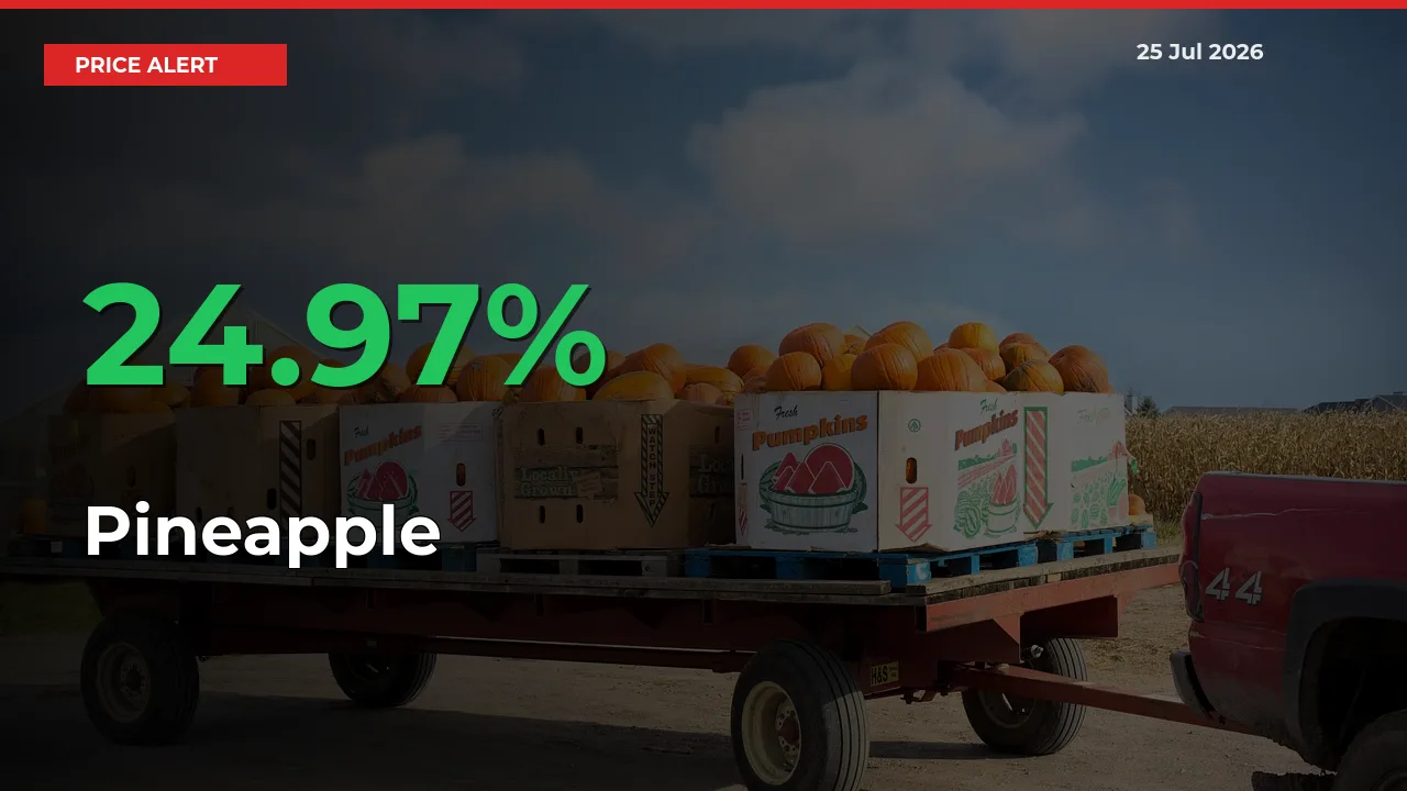 Why Pineapple Prices Rose 24.97% in a Day at Mandis