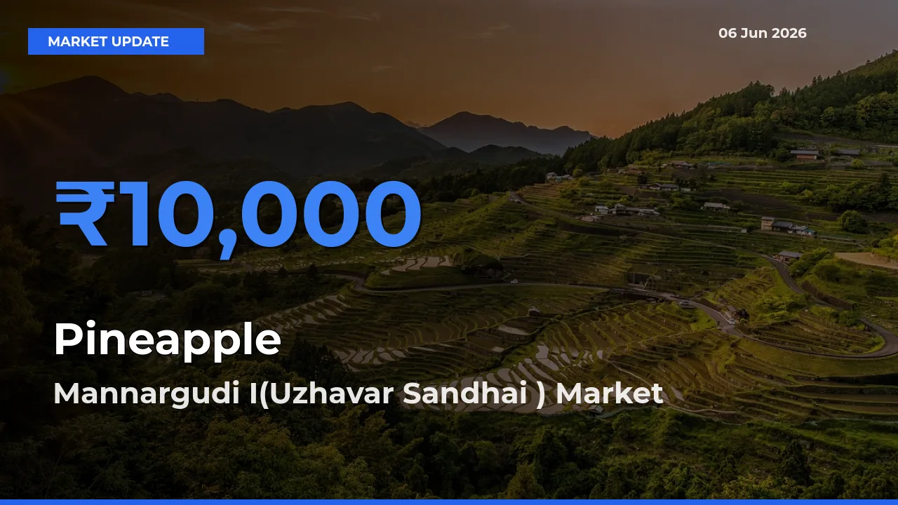 Mannargudi I(Uzhavar Sandhai ) Emerges as Top Mandi for Pineapple Prices Today