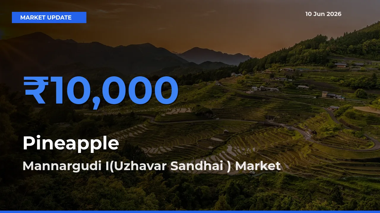 Mannargudi I(Uzhavar Sandhai ) Tops Pineapple Rates – June 10 Market Update