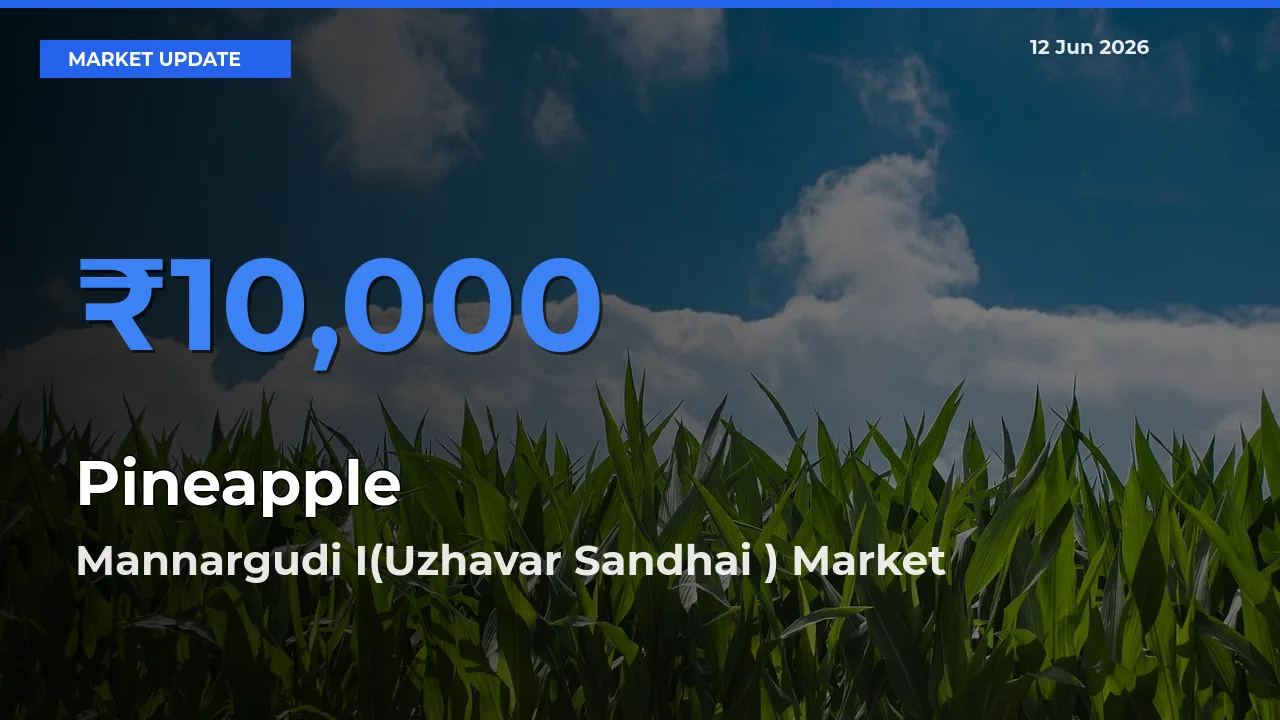 Mannargudi I(Uzhavar Sandhai ) Records Highest ₹10,000 Rate for Pineapple