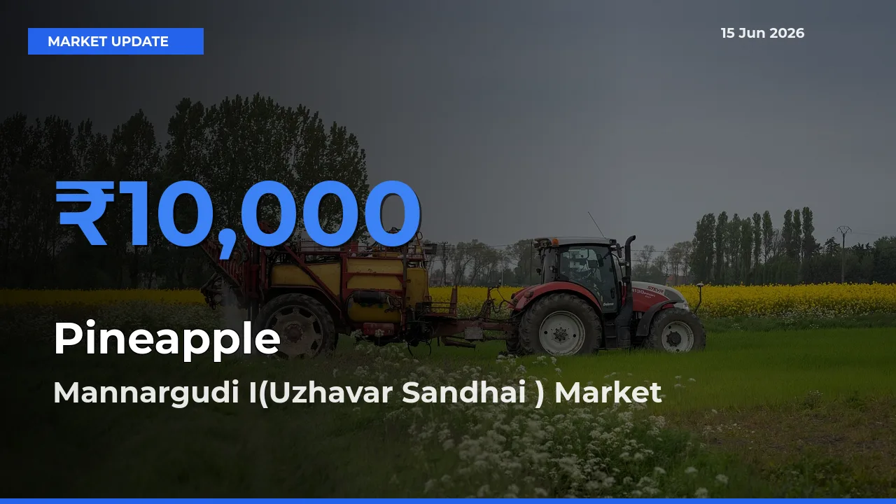 Mannargudi I(Uzhavar Sandhai ) Leads as Top Mandi for Pineapple Prices