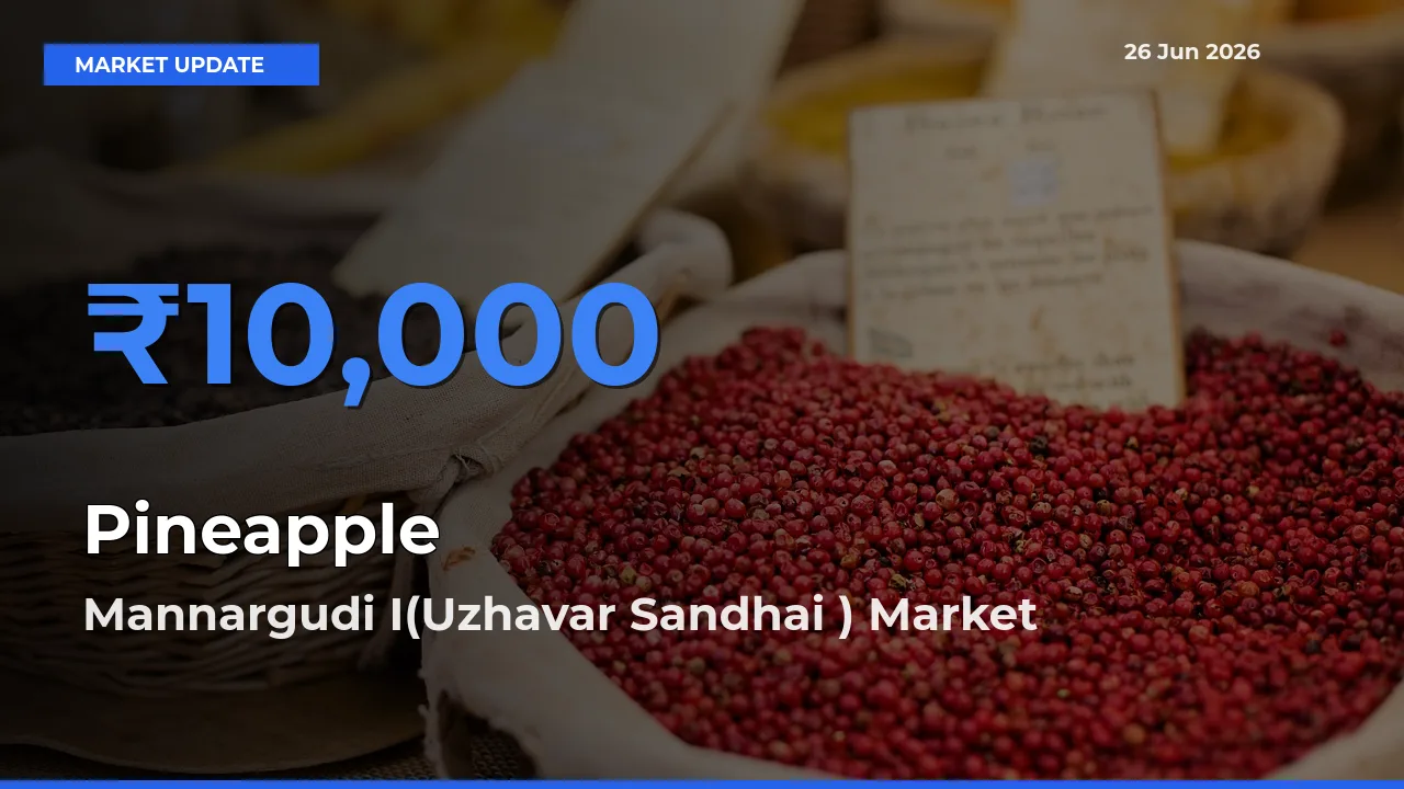 Mannargudi I(Uzhavar Sandhai ) Records Highest ₹10,000 Rate for Pineapple