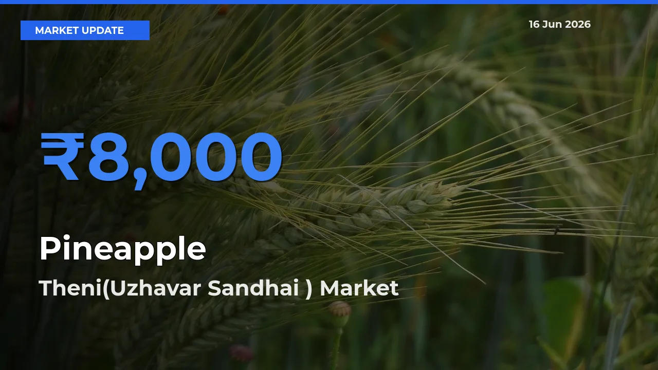Theni(Uzhavar Sandhai ) Leads as Top Mandi for Pineapple Prices