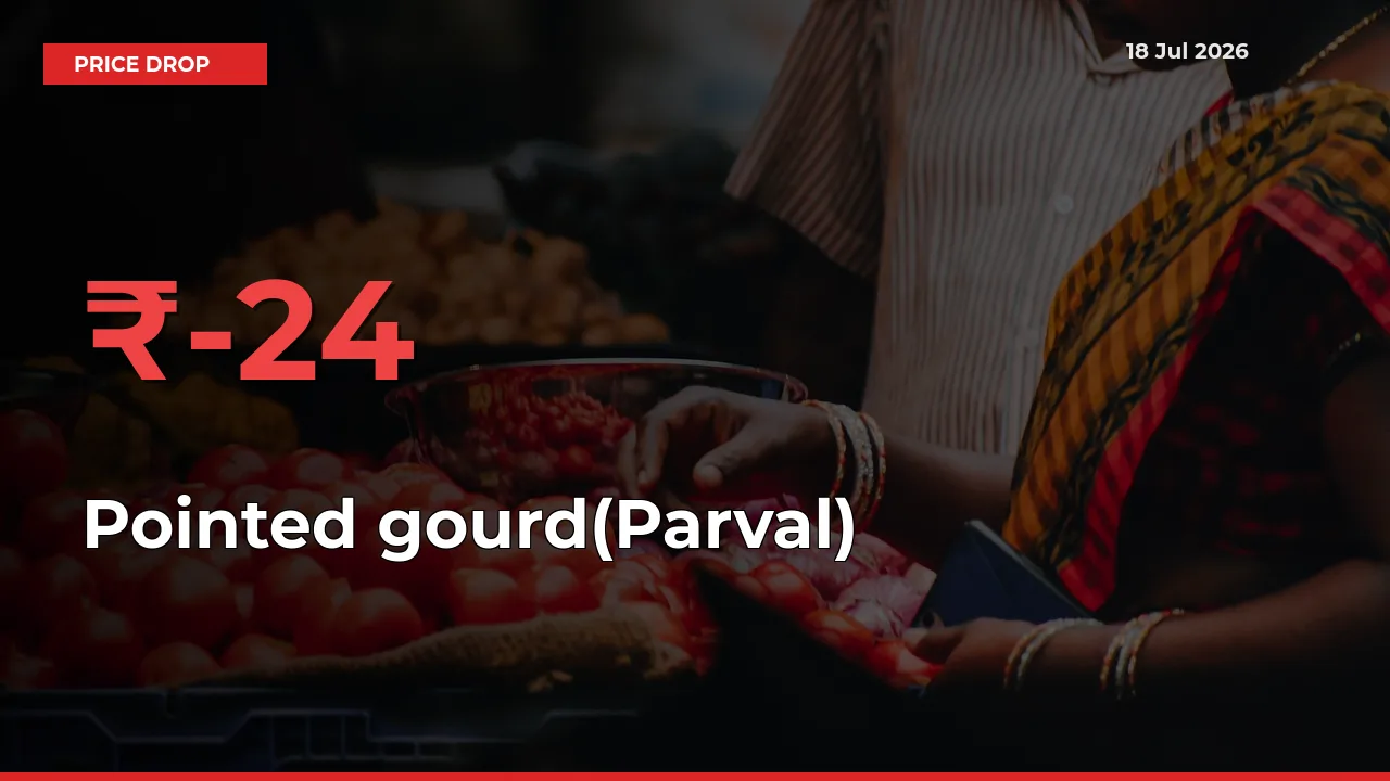 Sudden Shock! Pointed gourd(Parval) Drops 24.15% in 24 Hours at Top Mandis