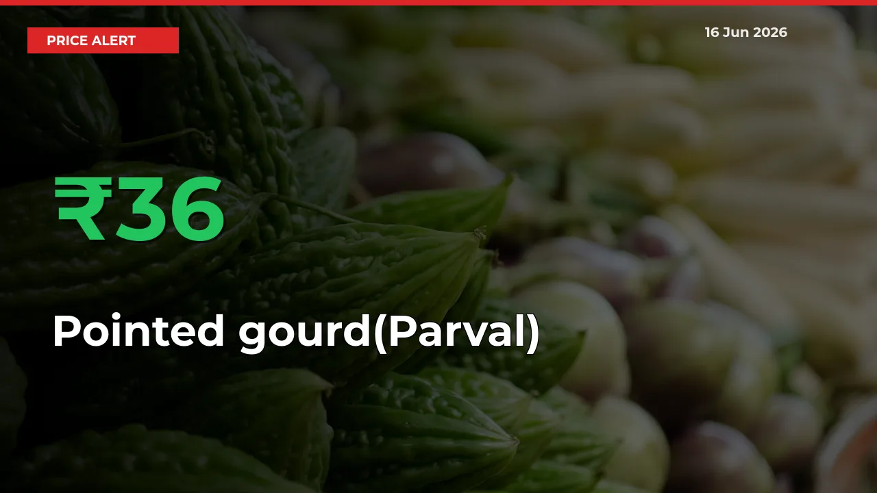 Big Rally! Pointed gourd(Parval) Climbs 35.88% in 24 Hours at Top Mandis