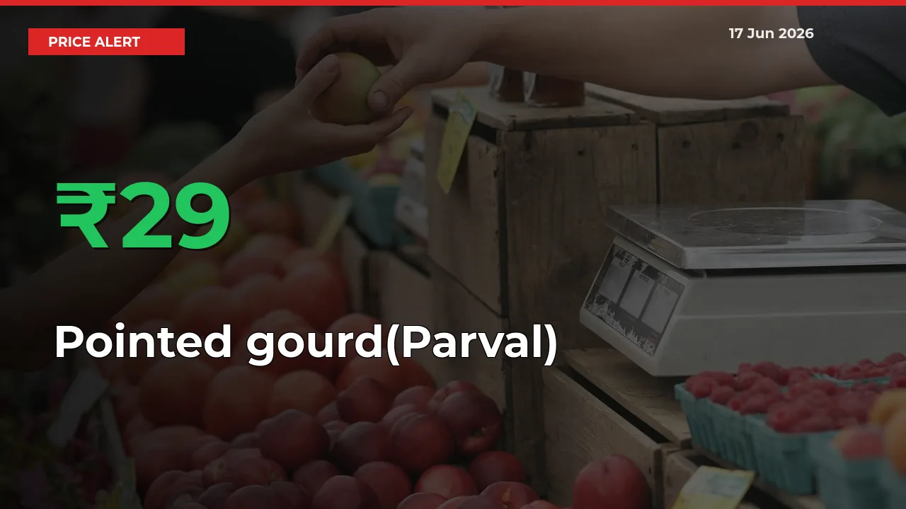 Big Rally! Pointed gourd(Parval) Climbs 29.15% in 24 Hours at Top Mandis