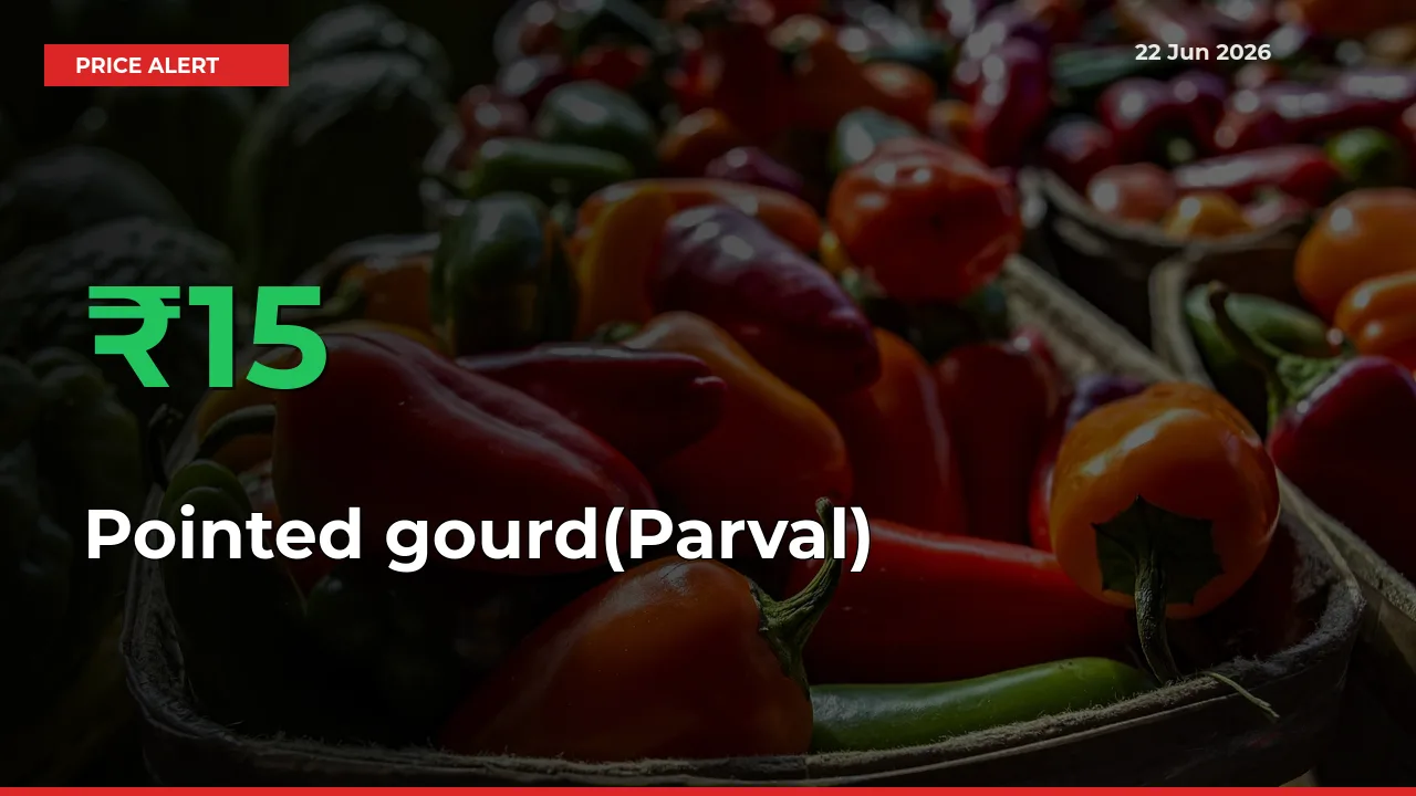 Sudden 15.15% Rally in Pointed gourd(Parval) Prices Across Mandis