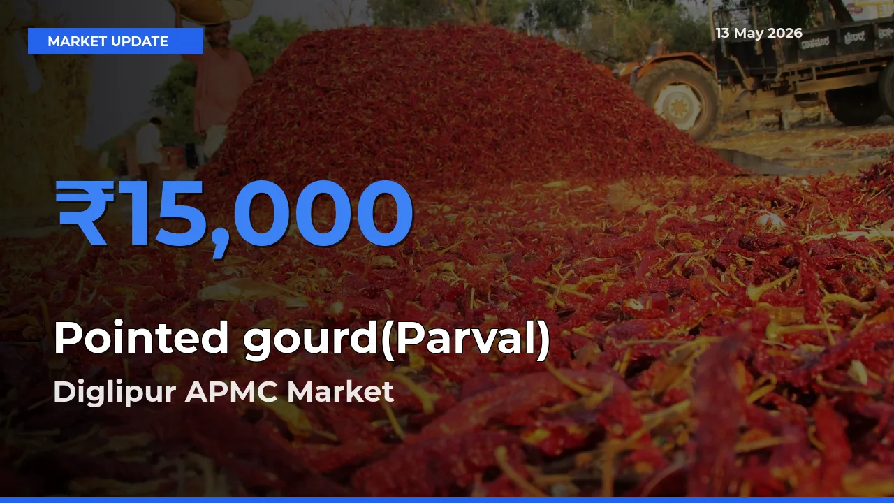 Diglipur APMC Leads as Top Mandi for Pointed gourd(Parval) Prices
