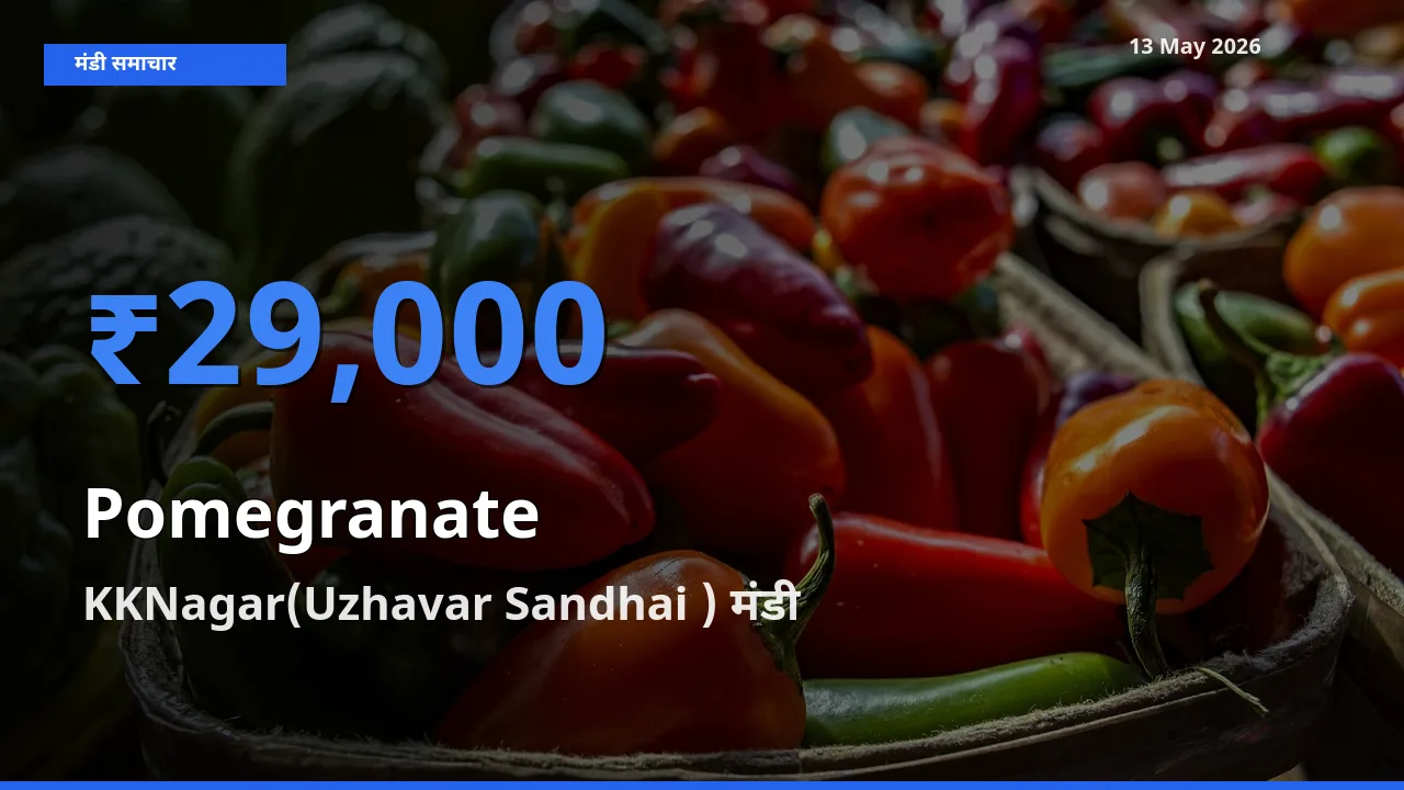 आज अनार के सबसे ऊँचे दाम ₹29,000 KKNagar(Uzhavar Sandhai ) मंडी में