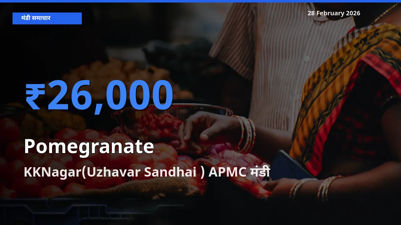 KKNagar(Uzhavar Sandhai ) APMC में Pomegranate का आज सबसे ऊँचा भाव