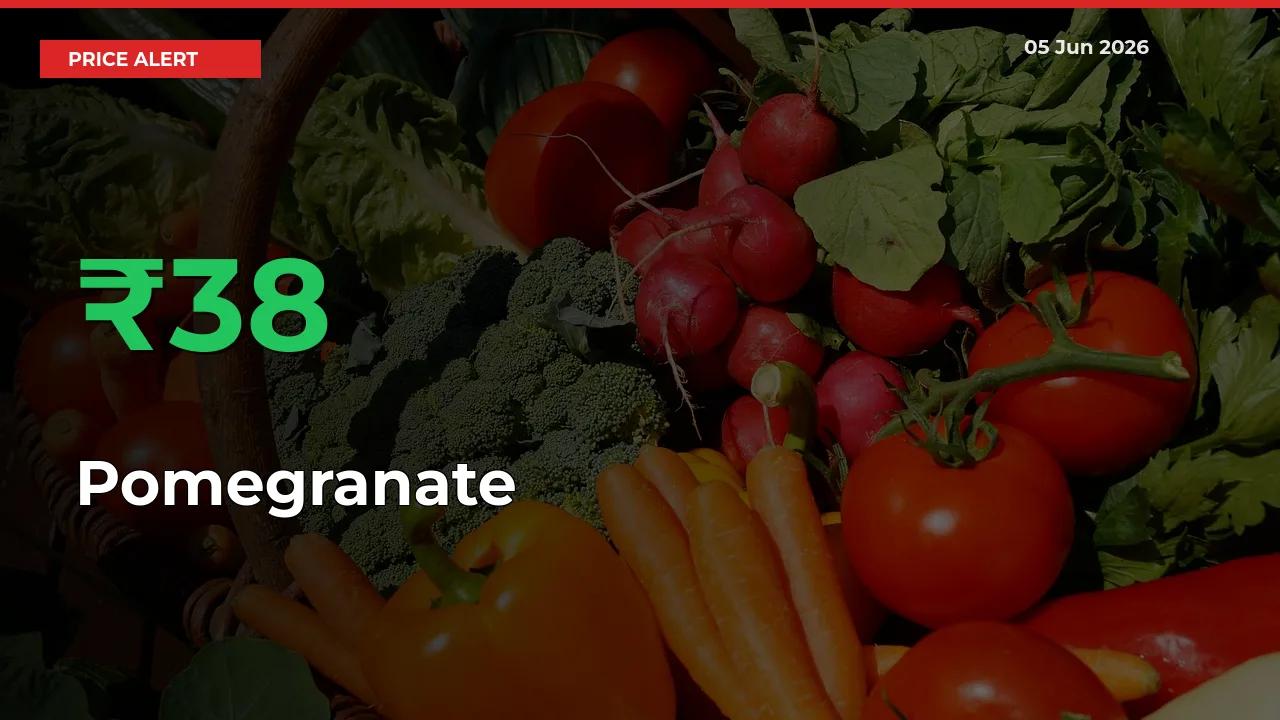 Pomegranate Rises 37.79% at Mandis