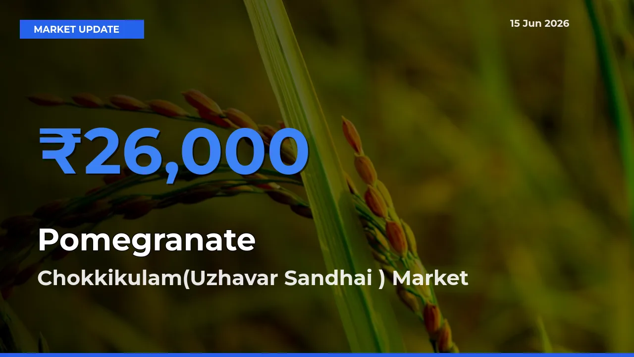 Chokkikulam(Uzhavar Sandhai ) Tops Pomegranate Mandi Rates Today