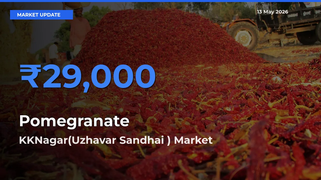 KKNagar(Uzhavar Sandhai ) Emerges as Top Mandi for Pomegranate Prices Today