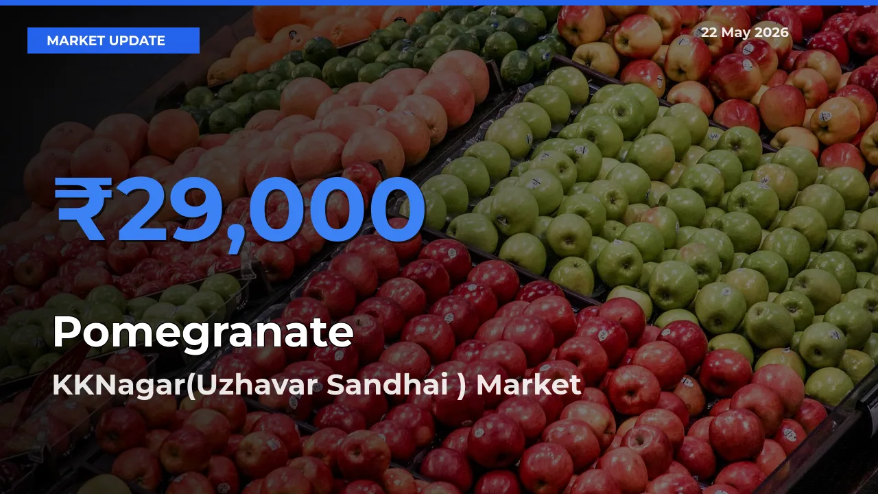 Farmers Prefer KKNagar(Uzhavar Sandhai ) as Pomegranate Hits Highest Rate