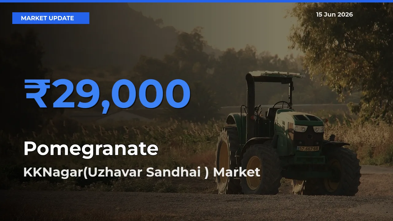 KKNagar(Uzhavar Sandhai ) Leads as Top Mandi for Pomegranate Prices